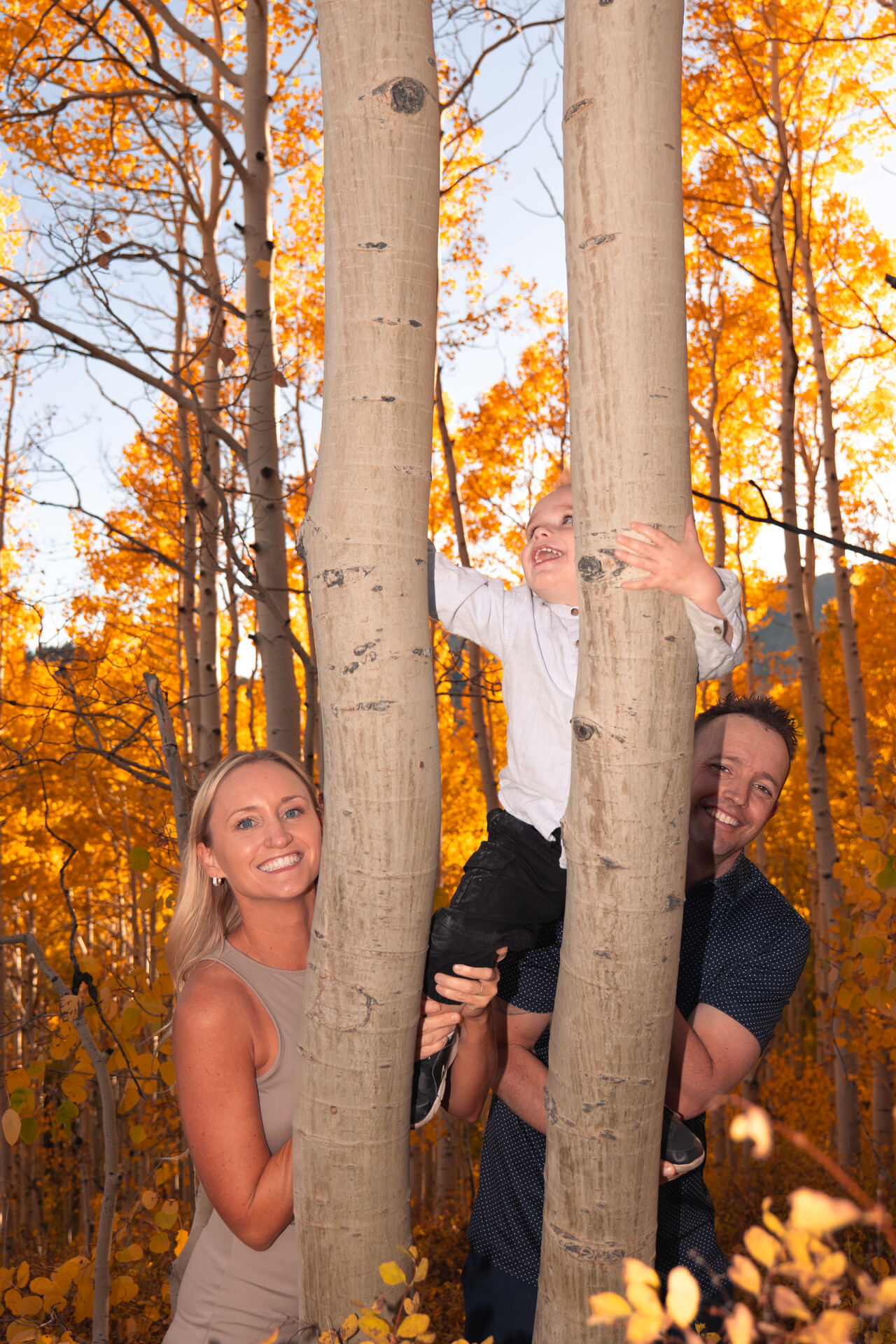 Parents and their child peeking out from behind aspen trunks in autumn