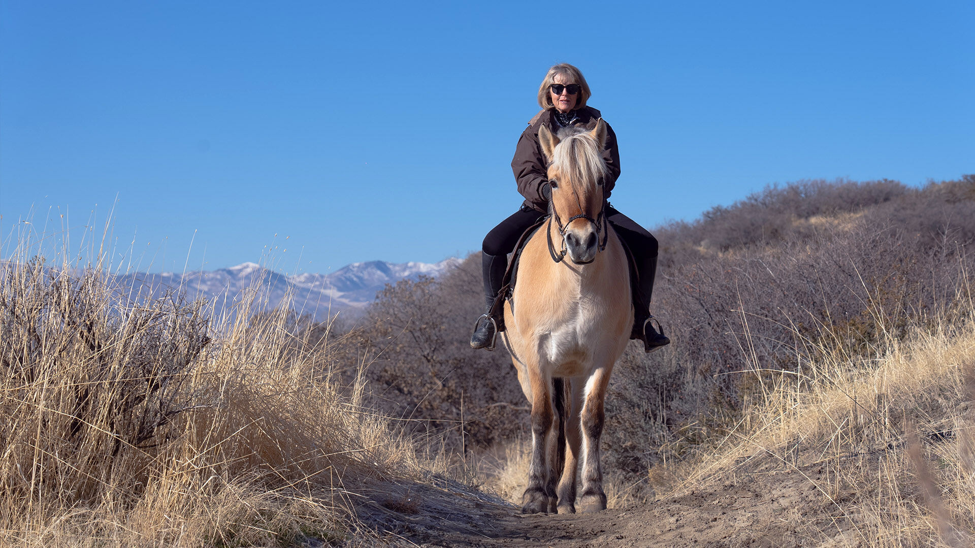 Rider on a pale horse on a sagebrush hillside with snow-capped mountains behind